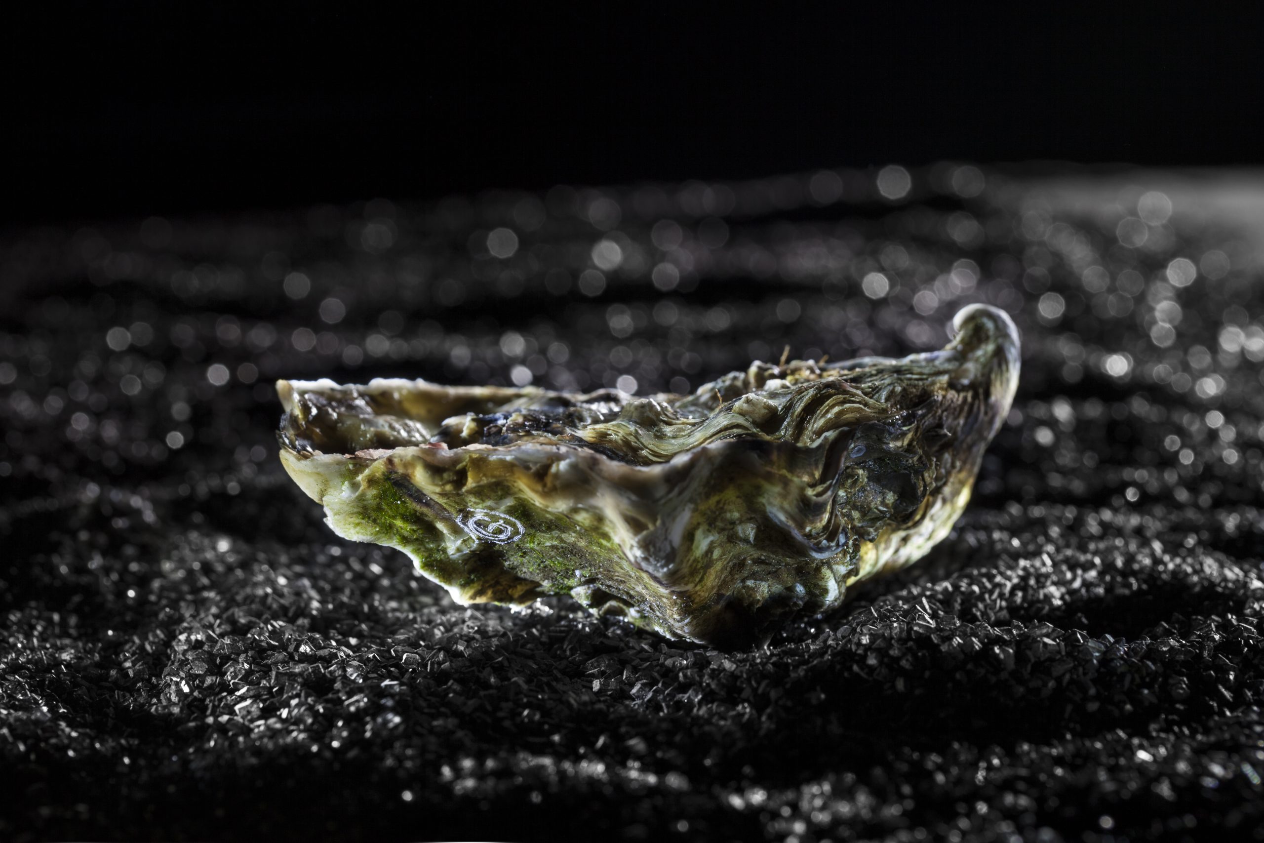 speciales gillardeau