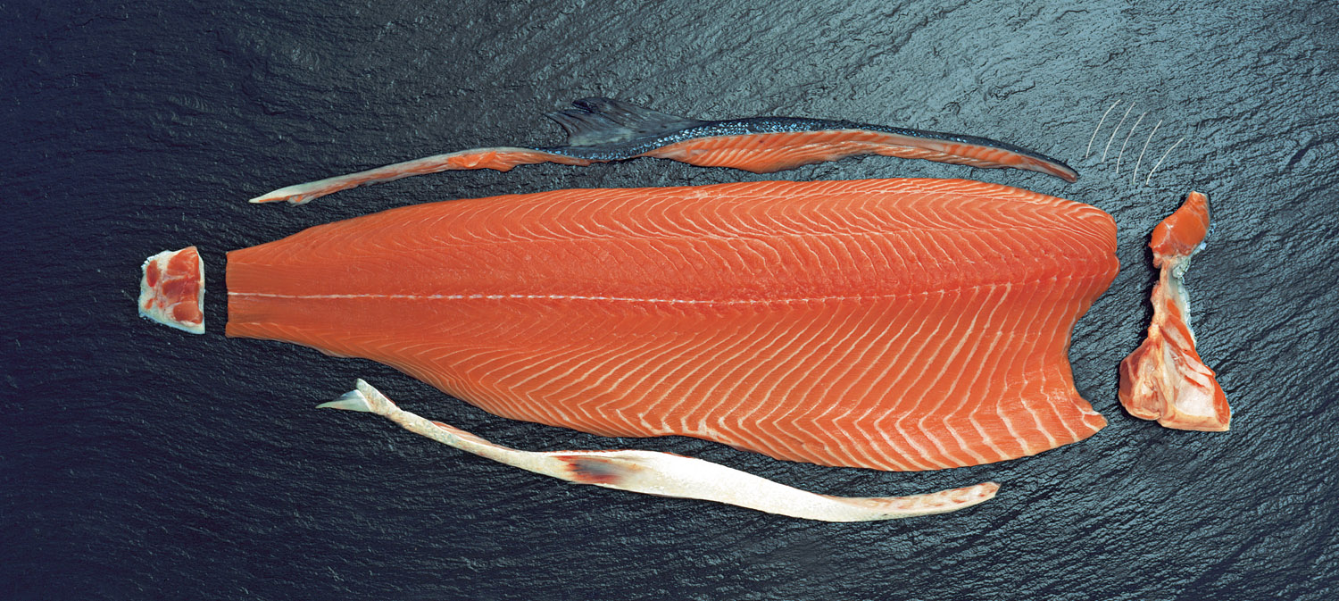 Łosoś świeży polędwica 1 kg